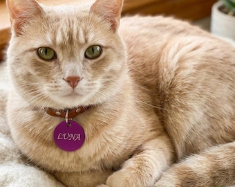 Gepersonaliseerde hondenpenning met gravure, ronde adrespenning, aluminium, keuze uit 10 kleuren, individuele huisdierpenning voor honden en katten