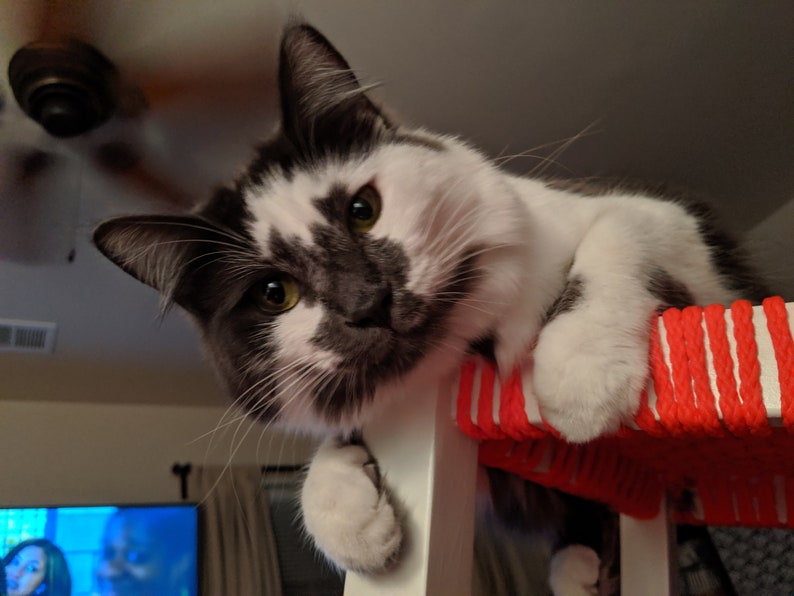 Handmade Macrame Cat Bed and Shelf
