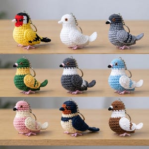 May include: A collection of nine small, crocheted bird keychains in various colors including yellow, white, gray, green, blue, pink, and brown. Each bird features a metal keyring attached to its back, small dark eyes, and a distinct color pattern.