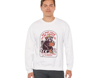 Raccoon 'Do Not Talk to Me About It' Sweatshirt | Trash Process Humor