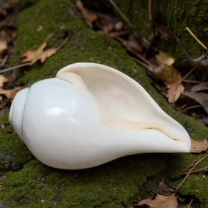 Op de afbeelding: Een witte keramische mok met een kleurrijk bloemmotief. De mok heeft een oor en een brede rand. De bloemen zijn in roze, paars en geel. Geschikt voor warme dranken.