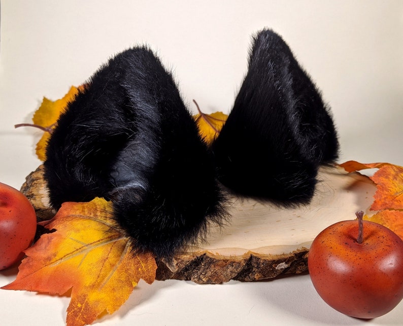 Black cat ears cosplay - Best porno Harry connick jr and bisexual