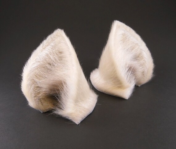 white dog ears white dog ears