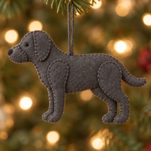 Labrador Retriever Filtmönster PDF SVG | Söt hundprydnad