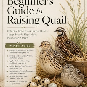 Anfängerleitfaden für das Heben von Wachteln PDF | Coturnix Bobwhite Knopf Rassen | Eier Fleisch Inkubation Brutvogel Einrichtung Futter | Sofort Download