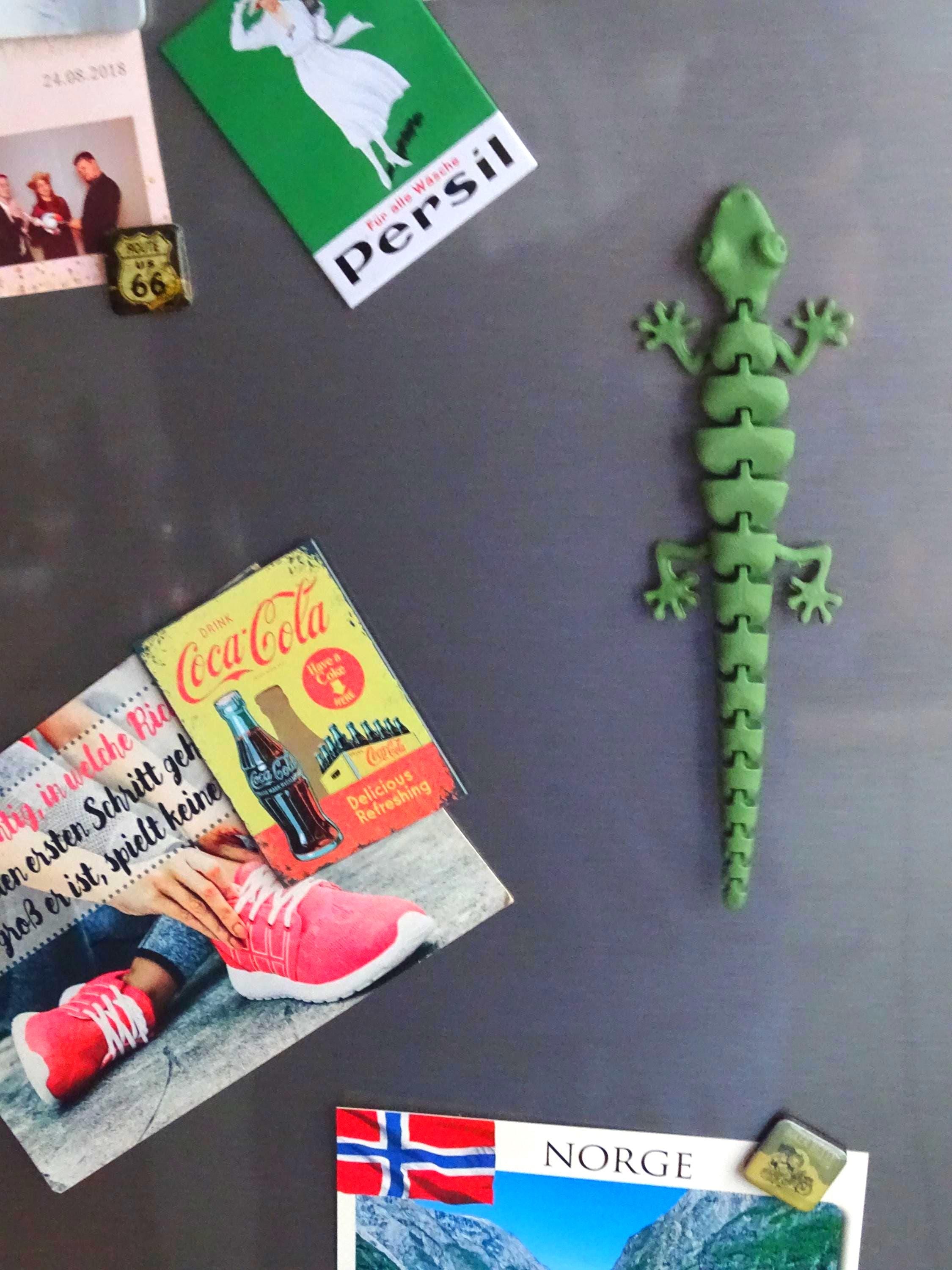 Eidechse Salamander Flexi Küchenmagnet, Küche Deko, Reptil Magnet, Gecko Dekoration, Geschenkidee