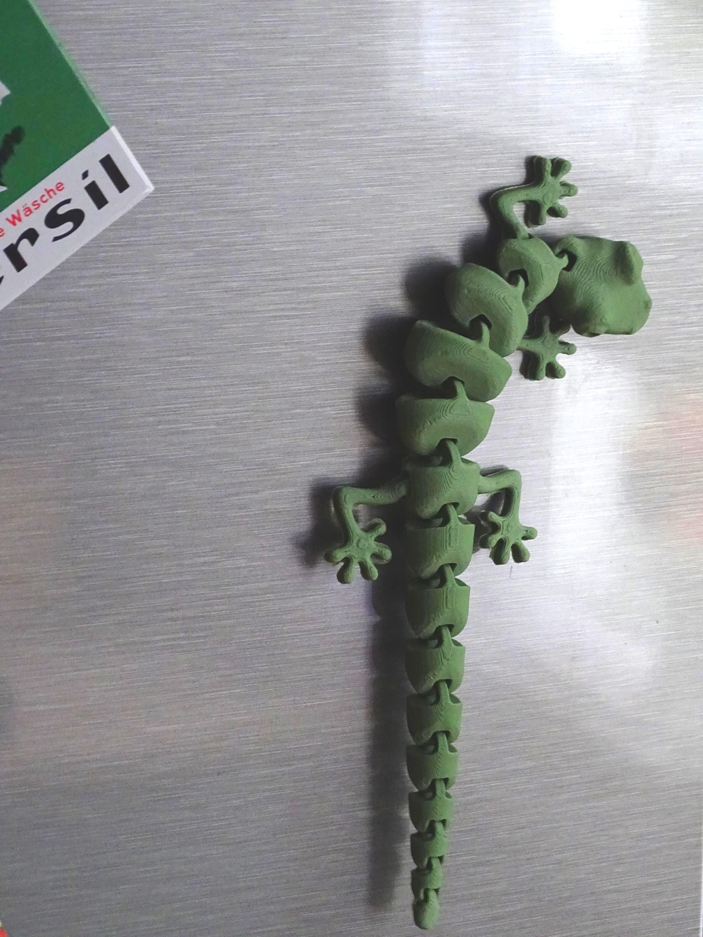 Eidechse Salamander Flexi Küchenmagnet, Küche Deko, Reptil Magnet, Gecko Dekoration, Geschenkidee image 5