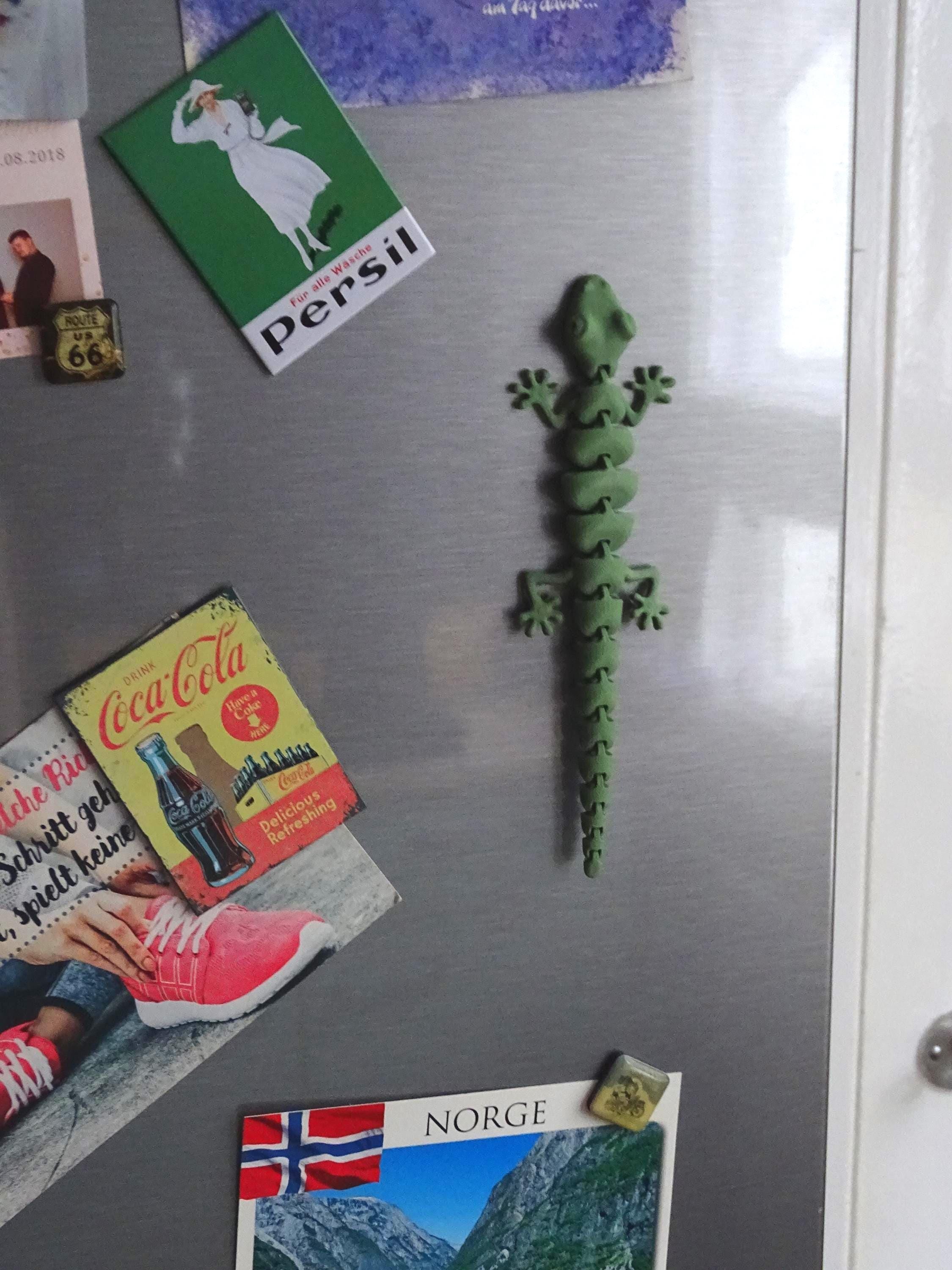 Eidechse Salamander Flexi Küchenmagnet, Küche Deko, Reptil Magnet, Gecko Dekoration, Geschenkidee image 2