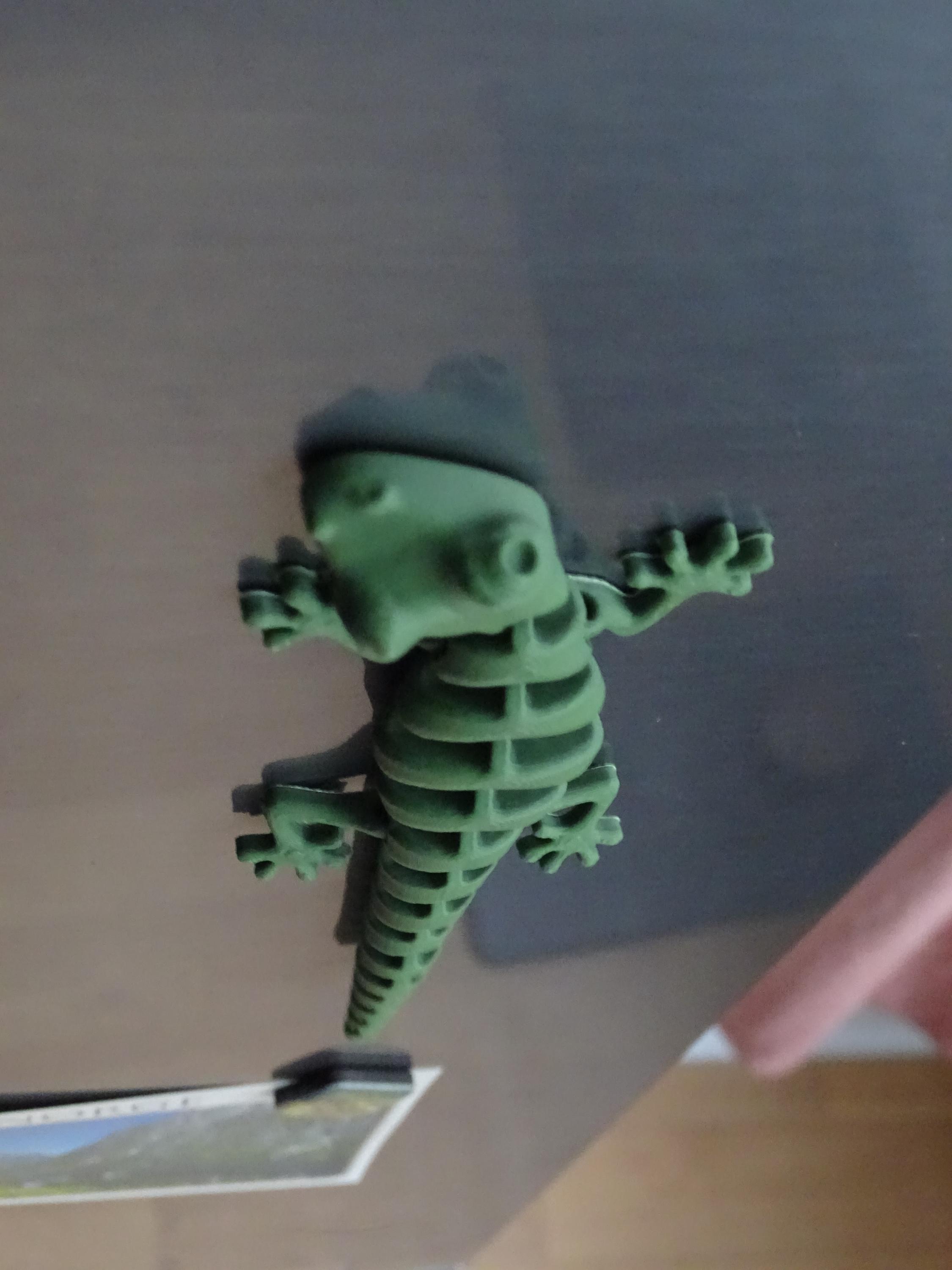 Eidechse Salamander Flexi Küchenmagnet, Küche Deko, Reptil Magnet, Gecko Dekoration, Geschenkidee image 7