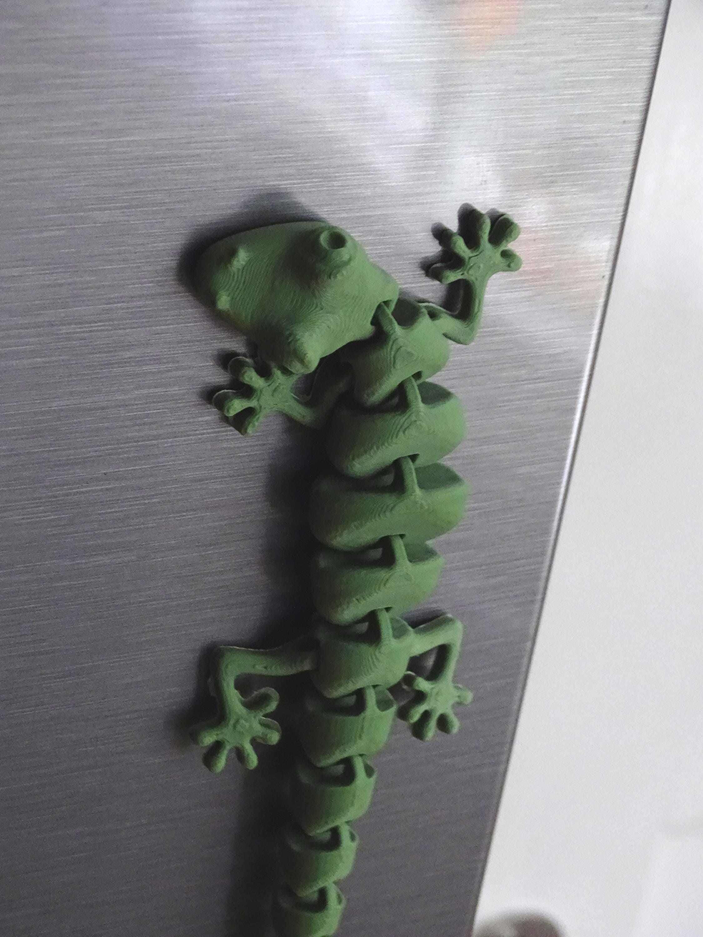 Eidechse Salamander Flexi Küchenmagnet, Küche Deko, Reptil Magnet, Gecko Dekoration, Geschenkidee image 6