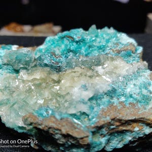 May include: Close-up of a mineral specimen featuring vibrant turquoise and clear crystal formations. The mineral has a rough, textured surface with areas of brown and tan hues. The image highlights the natural beauty of the geological formation.