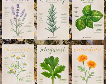 Botanical Herb Wall Art Printable Bundle Pack