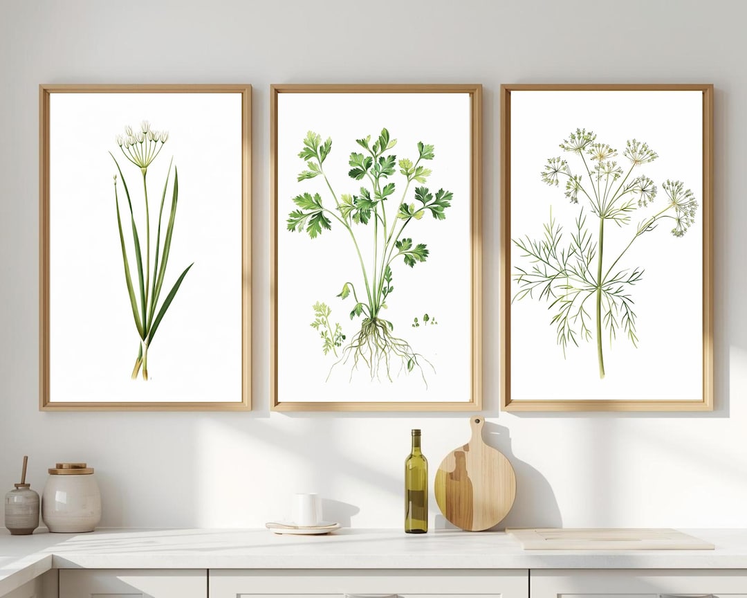 Botanical Kitchen Herb Prints – Sage, Parsley, Dill Trio (digital ...