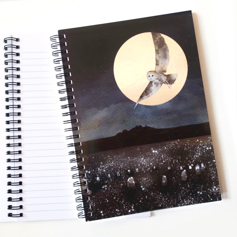 Owl notebook, owl journal, stone circle image 1