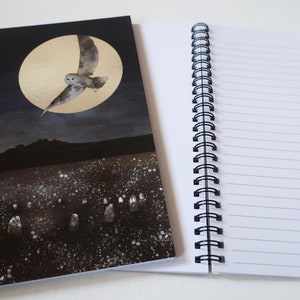 Owl notebook, owl journal, stone circle image 2