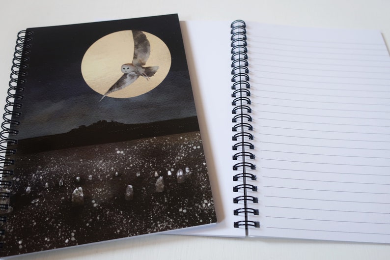 Owl notebook, owl journal, stone circle image 2