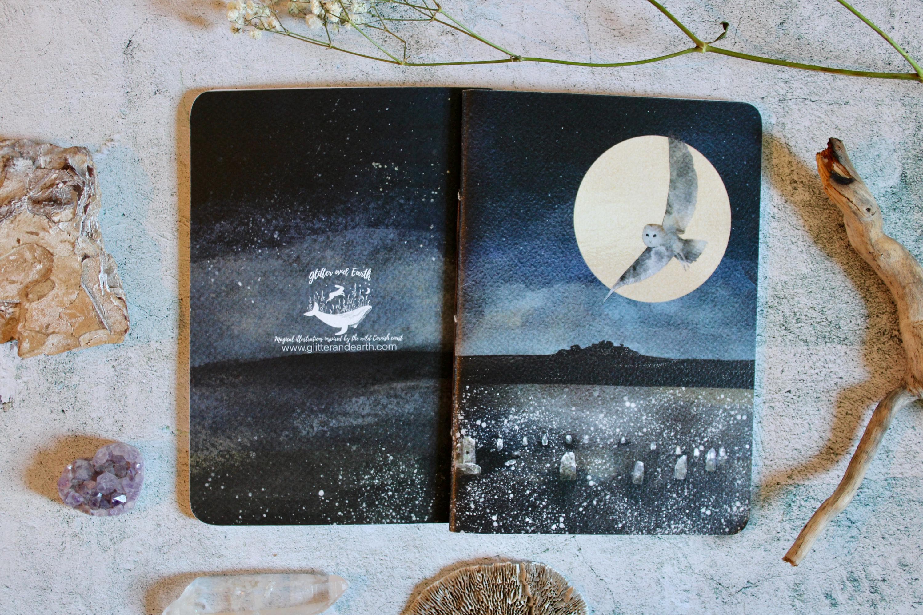 Barn owl, blank journal