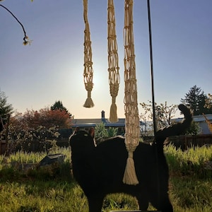 May include: Three cream macrame plant hangers hanging from a black metal stand. The hangers feature detailed knotwork and tassels. A black cat stands in the foreground, gazing upwards at the hangers, in a sunny outdoor setting.