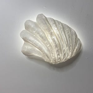 One of a Kind Seashell Paper Mache Wall Sconce | Resin Sealed Renter Friendly Light | Sydney Studio | Wireless Puck Light Cover