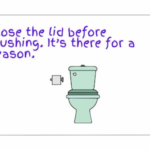 May include: A cartoon illustration of a light green toilet with the lid closed, a roll of toilet paper, and the text "Close the lid before flushing. It's there for a reason." in purple.