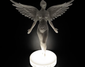 Luz nocturna de ángel Nirvana en el útero
