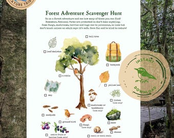 Búsqueda del tesoro en el bosque para imprimir para niños / Búsqueda en la naturaleza / Actividad para la educación en casa sobre el bosque