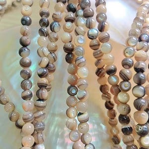 Può includere: Molteplici fili di perline rotonde e levigate realizzate in materiale di conchiglia naturale. Le perline presentano una finitura liscia e lucida con una tavolozza di colori beige, marrone chiaro, marrone e grigio, con bande concentriche naturali.