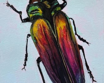 Originales Gouache-Gemälde eines Prachtkäfers, Dekoration mit dem dreifarbigen Belionota-Käfer, Wandkunst mit dem Belionota Sumptuosa-Insekt