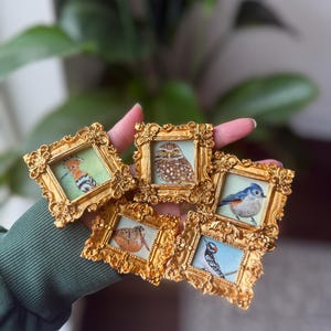 Liten guldinramad fågelkonstmagnet | Miniatyrmålning i gouache-tryck