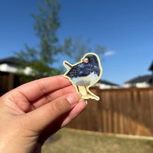 Bird Sticker| Dark Eyed Junco art | Waterproof Vinyl Decal
