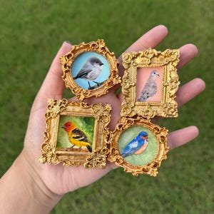 Puede incluir: Cuatro pinturas en miniatura en marcos dorados ornamentados. Cada marco contiene una pequeña ilustración de un pájaro diferente: un pájaro gris sobre fondo azul claro, un pájaro moteado sobre fondo melocotón, un pájaro amarillo y negro, y un pájaro azul.