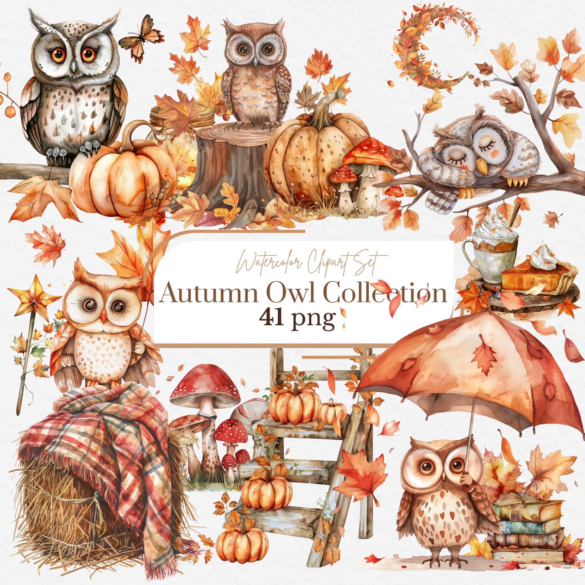 Autumn Owl Clipart Set | 41 PNG Fall Woodland Animals | Watercolor Owl Clip Art |Cozy Forest Illustr