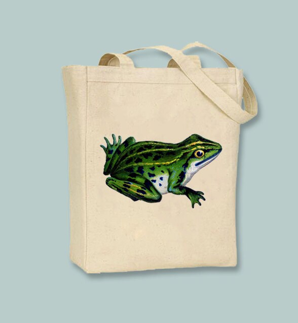frog ita bolsa