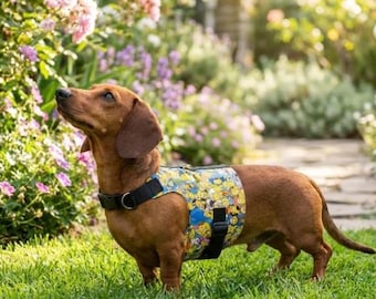 Dachshund Harness - No Rub, comfort, secure and made to measure.