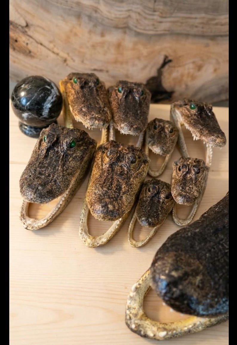 May include: A collection of taxidermy alligator heads of varying sizes, each featuring textured brown skin, visible teeth, and green glass eyes, arranged together alongside a single polished black and white marble sphere on a light wooden surface.