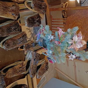 May include: A collection of preserved alligator heads with textured, dark brown scales and visible teeth, arranged alongside a small artificial Christmas tree decorated with colorful ornaments, including snowflakes and a large pink poinsettia flower.