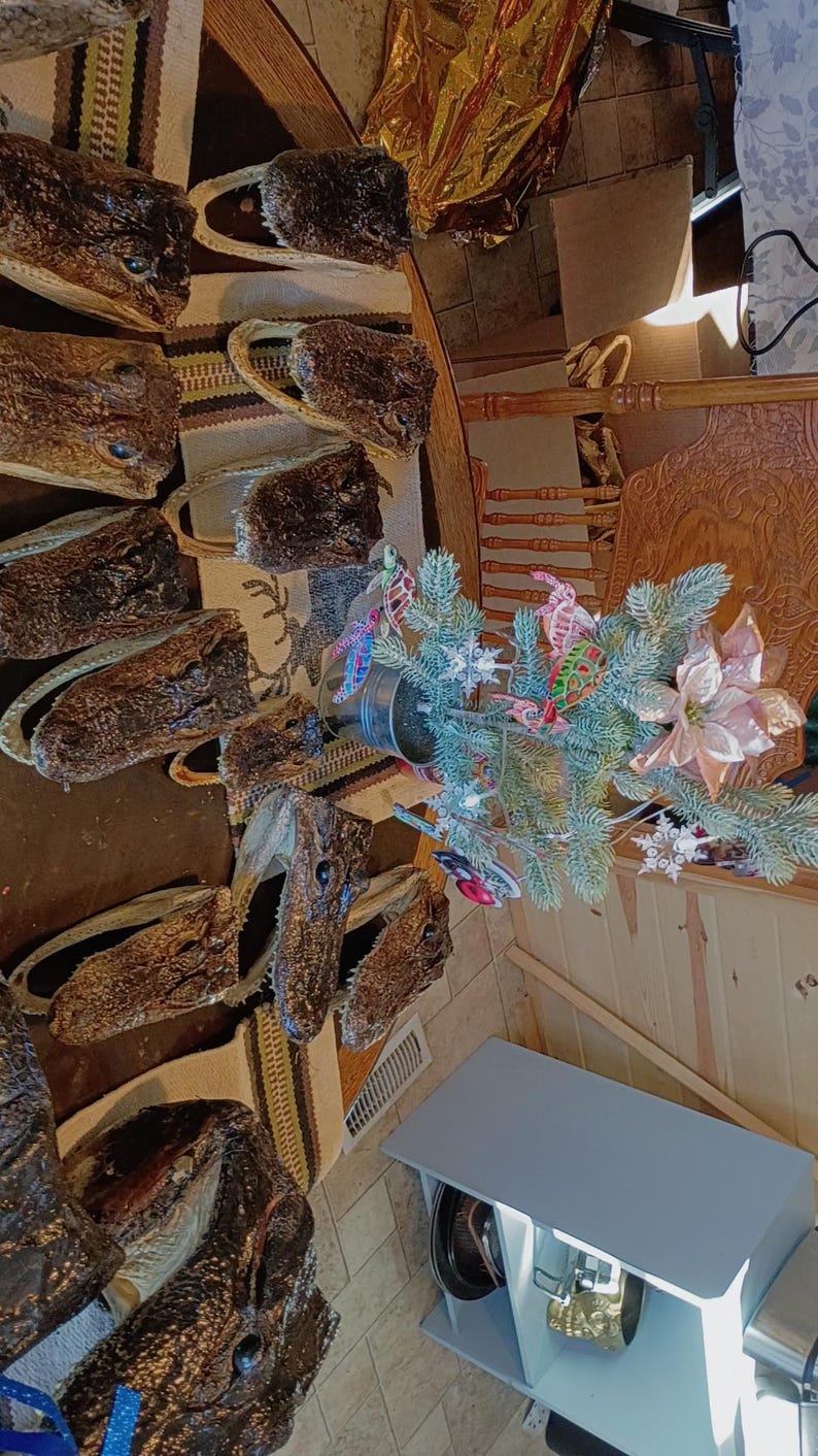 May include: A collection of preserved alligator heads with textured, dark brown scales and visible teeth, arranged alongside a small artificial Christmas tree decorated with colorful ornaments, including snowflakes and a large pink poinsettia flower.
