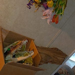 May include: A taxidermy alligator head with an open mouth and green eyes is inside a brown cardboard box. Nearby, a piece of driftwood sits next to a bouquet of dried yellow, purple, and orange flowers, and a framed picture hangs on the wall.