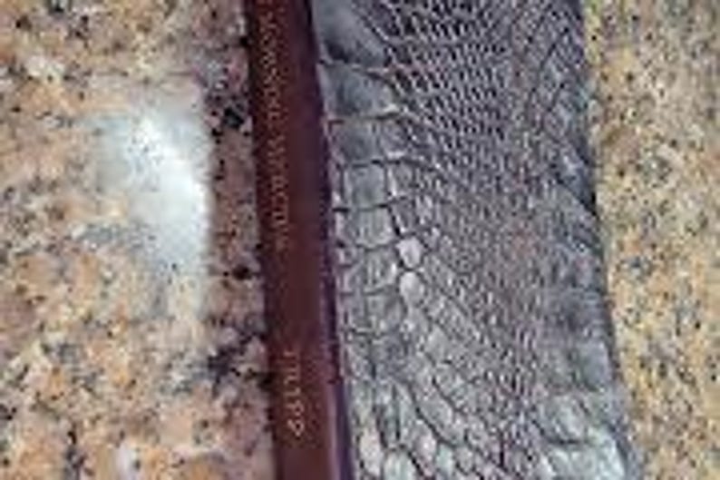 Personlig läderbibel och andaktsset - Anpassad handbunden helig bibel - Lyxig kristen gåva med alligatormotiv bild 8