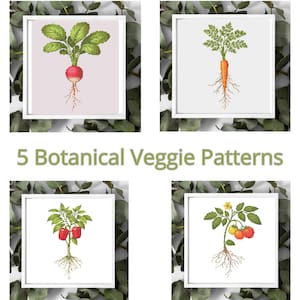 Peut inclure: Quatre motifs de point de croix encadrés de légumes : un radis, une carotte, des poivrons et des tomates. Le texte "5 Botanical Veggie Patterns" est affiché en dessous. Les cadres sont blancs, et le fond est vert feuillu.