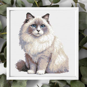May include: Cross-stitch of a Ragdoll cat with blue eyes and fluffy, light-colored fur, framed in a white square. The cat is sitting, facing forward, with a serene expression. The background is white.