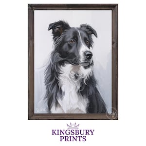 May include: A framed print featuring a Border Collie dog. The artwork shows the dog with black and white fur, brown eyes, and a focused expression. The frame is dark brown. The text "KINGSBURY PRINTS" is at the bottom.