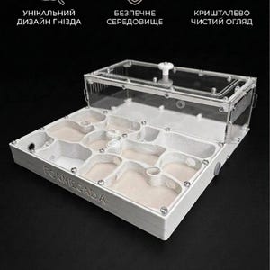 May include: A white and clear acrylic ant farm with multiple internal chambers and a removable lid. The base features the embossed text FORMECADA. Above the unit, three icons are displayed with the Ukrainian text: УНІКАЛЬНИЙ ДИЗАЙН ГНІЗДА, БЕЗПЕЧНЕ СЕРЕДОВИЩЕ, and КРИШТАЛЕВО ЧИСТИЙ ОГЛЯД.