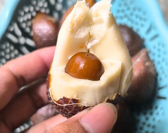 thumbnail interactive-video image 1 of 35+ Seeds Salacca Zalacca Salak Snake Sweet Fruit Seeds Exotic, Seeds Rare 1 of 10