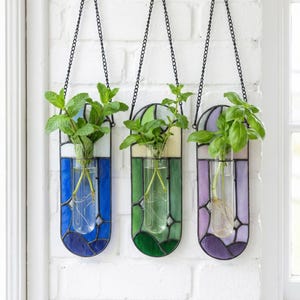Puede incluir: Tres jardineras colgantes de vidrieras con cadenas de metal, cada una con un tubo de vidrio con una planta. Las jardineras presentan esquemas de color azul, verde y morado. Las plantas tienen hojas verdes y ra&iacute;ces visibles.
