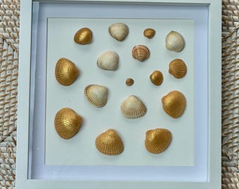 May include: A framed display of seashells. The white frame surrounds a collection of various seashells, some painted gold, arranged on a white background. The shells vary in size and shape, creating a decorative coastal theme.