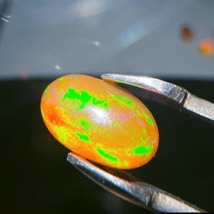 May include: Close-up of an oval opal gemstone held by tweezers. The opal has a vibrant orange base colour with bright green and red flashes. The gemstone is polished and smooth, reflecting light.