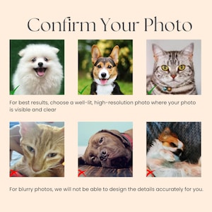 May include: An image with the text "Confirm Your Photo" at the top. Below are six images of pets, with checkmarks or red X's indicating photo quality. The text below the images reads, "For best results, choose a well-lit, high-resolution photo where your photo is visible and clear."
