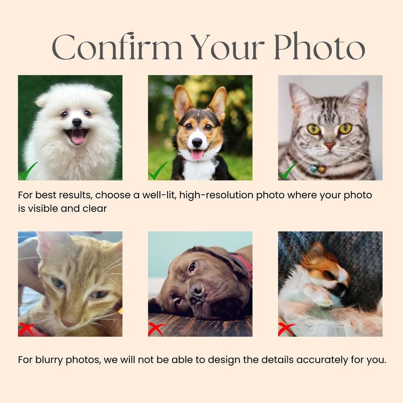 May include: An image with the text "Confirm Your Photo" at the top. Below are six images of pets, with checkmarks or red X's indicating photo quality. The text below the images reads, "For best results, choose a well-lit, high-resolution photo where your photo is visible and clear."