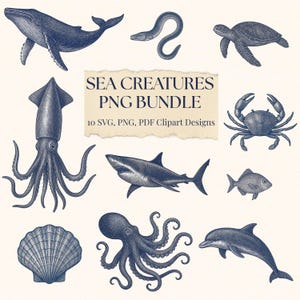 Peut inclure: Illustrations bleu marine de créatures marines, dont une baleine, une anguille, une tortue, un calmar, un crabe, un requin, un poisson, un coquillage, une pieuvre et un dauphin. Le texte "SEA CREATURES PNG BUNDLE" est affiché.
